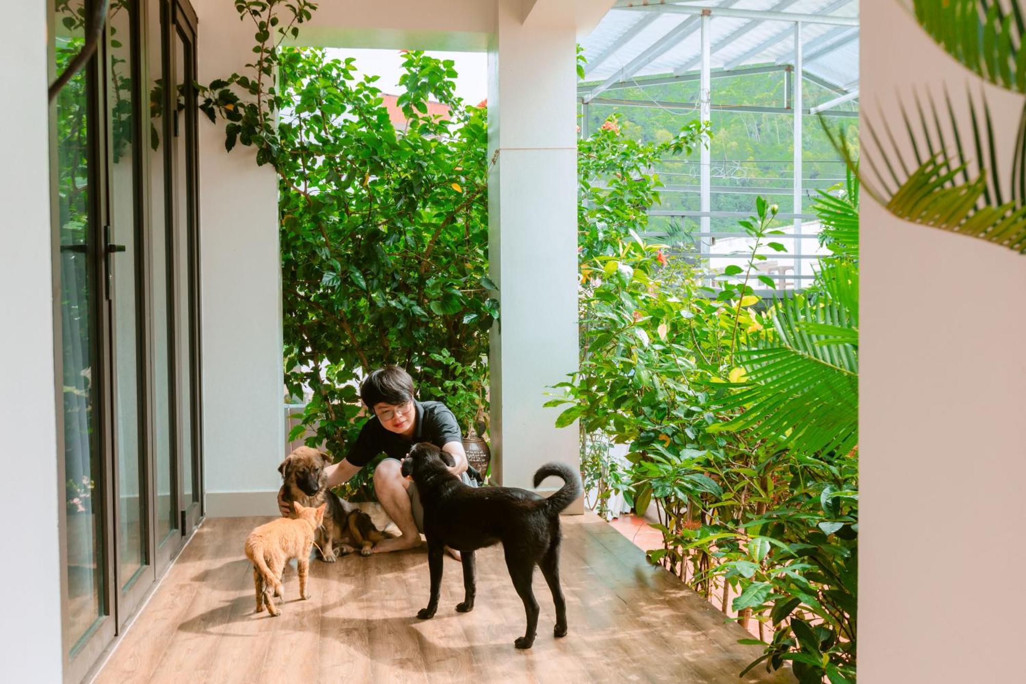 D'Home Homestay Cat Ba Dong Khe Sau Exterior photo